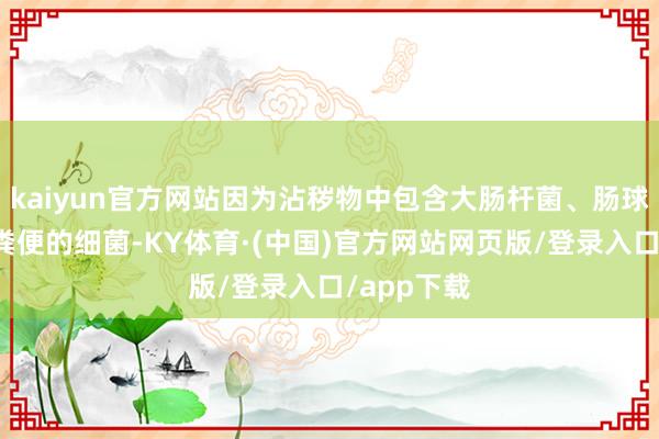 kaiyun官方网站因为沾秽物中包含大肠杆菌、肠球菌等源自粪便的细菌-KY体育·(中国)官方网站网页版/登录入口/app下载
