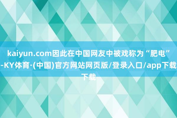 kaiyun.com因此在中国网友中被戏称为“肥电”-KY体育·(中国)官方网站网页版/登录入口/app下载