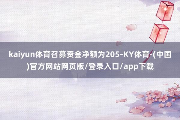kaiyun体育召募资金净额为205-KY体育·(中国)官方网站网页版/登录入口/app下载