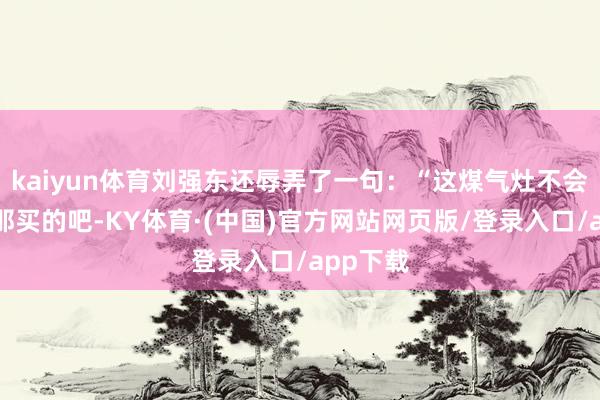 kaiyun体育刘强东还辱弄了一句：“这煤气灶不会从马云那买的吧-KY体育·(中国)官方网站网页版/登录入口/app下载
